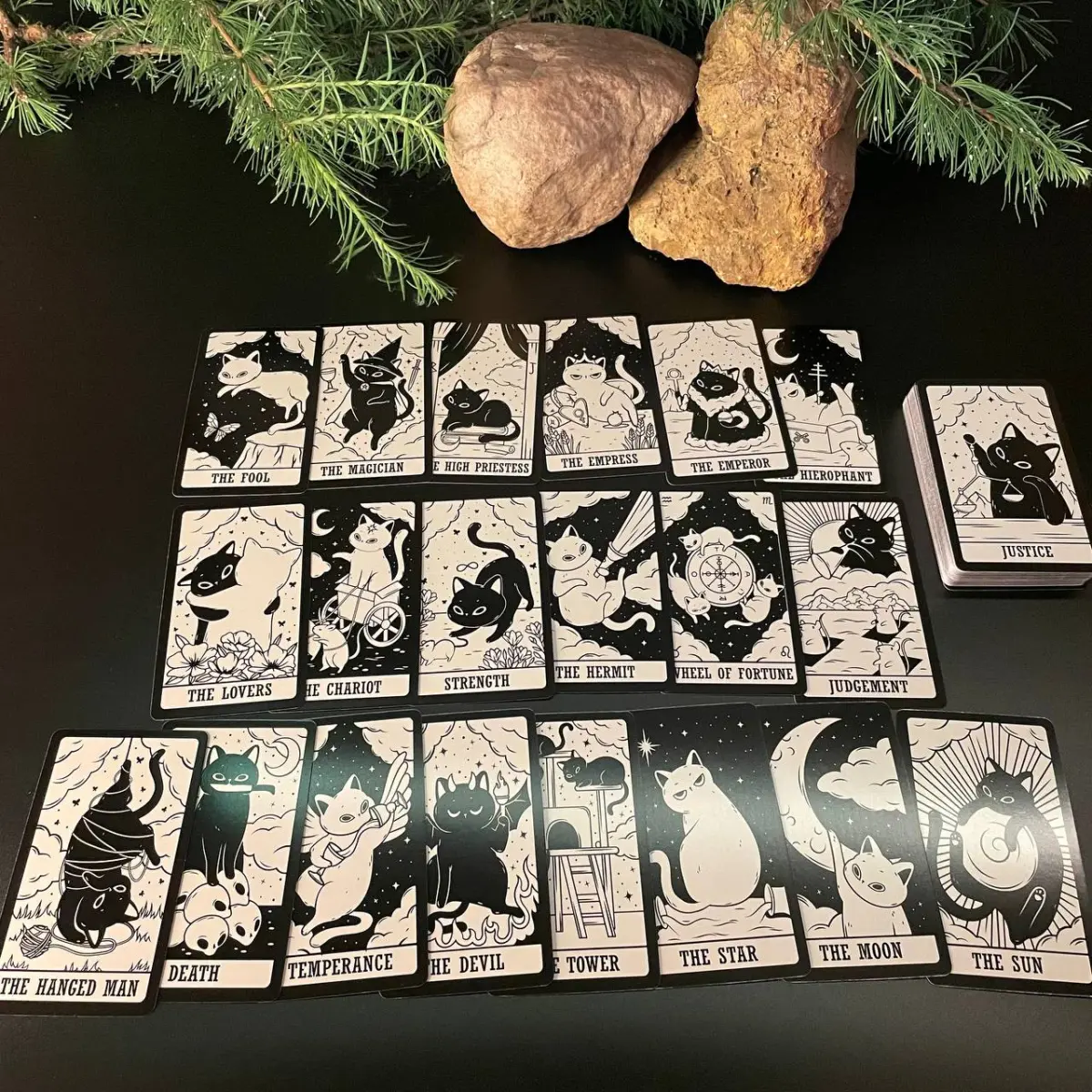 Kitten tarot  таро котят