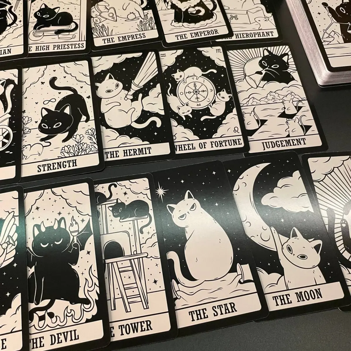 Kitten tarot  таро котят